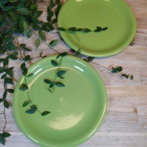 Duo Assiettes Vintages en Vert