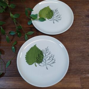 Duo Assiettes à Dessert et Motifs Végétalisés