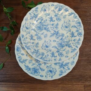 Dépareillé d’Assiettes et Petites Fleurs Bleues en Porcelaine Anglaise