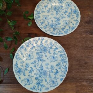 Dépareillé d’Assiettes et Petites Fleurs Bleues en Porcelaine Anglaise